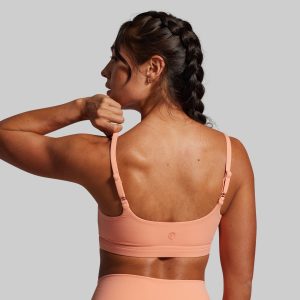 Reset Sports Bra (Melon)