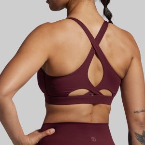 Helix Sports Bra (Fig)